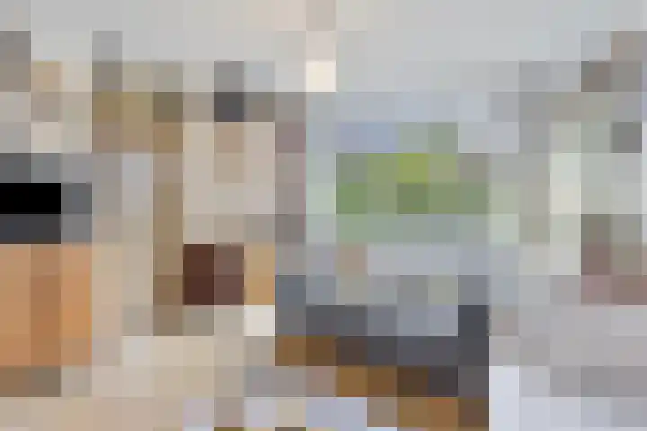 Schutterstraat 20 Rosmalen foto 3