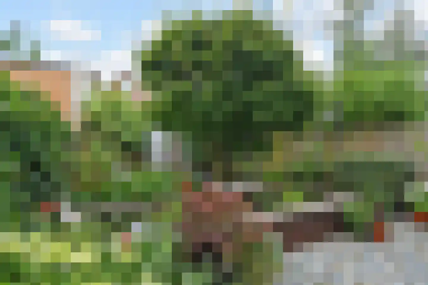 Schutterstraat 5 Delft thumbnail 15