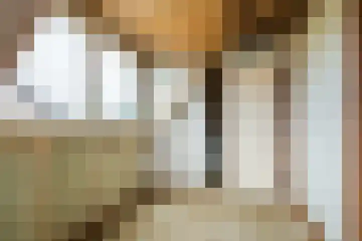 Schutterstraat 5 Delft thumbnail 36