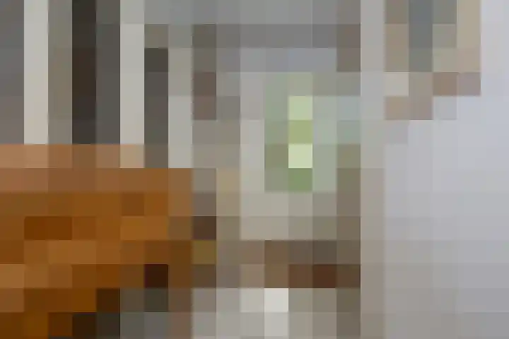 Schutterstraat 5 Delft thumbnail 9