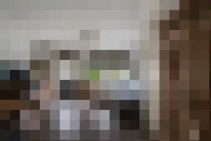 Schuttersveld 14 Loo Gld thumbnail 17