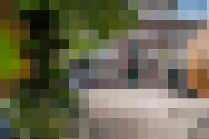 Schuttersveld 14 Loo Gld thumbnail 4