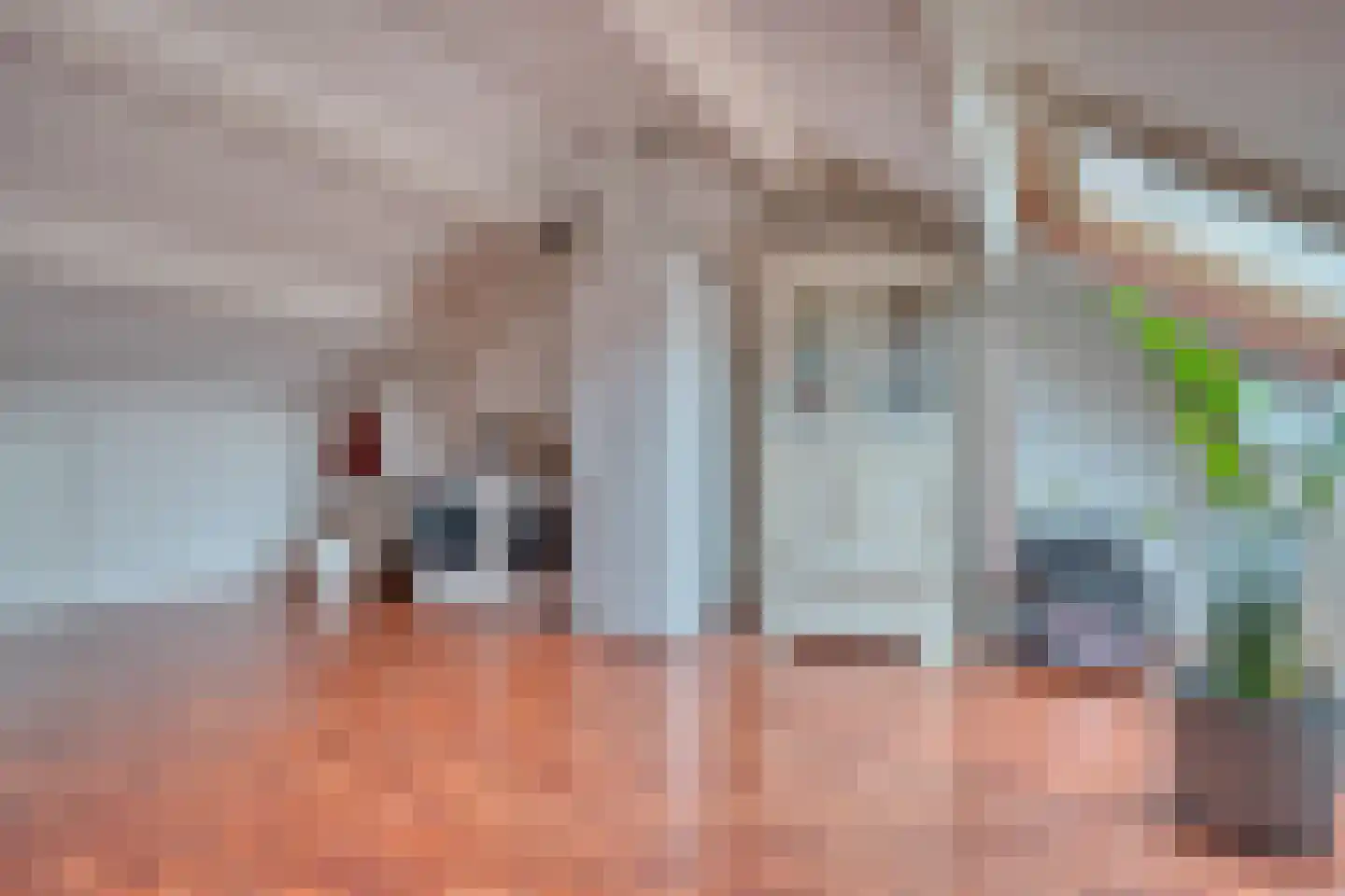 Schuttersveld 3 Zwijndrecht thumbnail 29