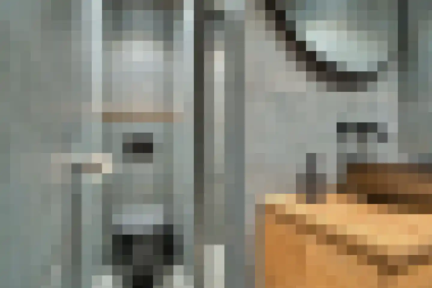 Schuttersveld 3 Zwijndrecht thumbnail 5