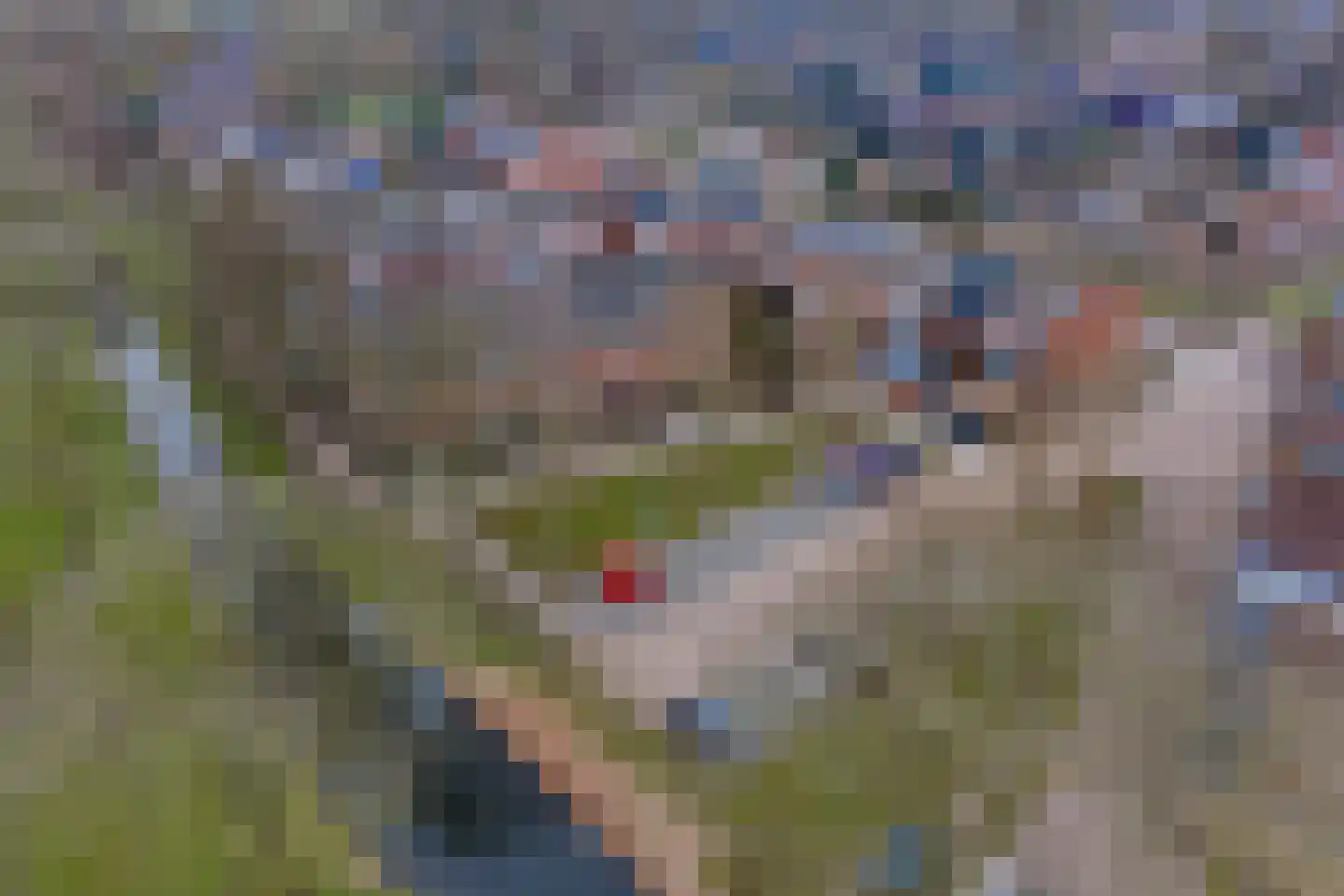 Schuttersveld 3 Zwijndrecht thumbnail 6