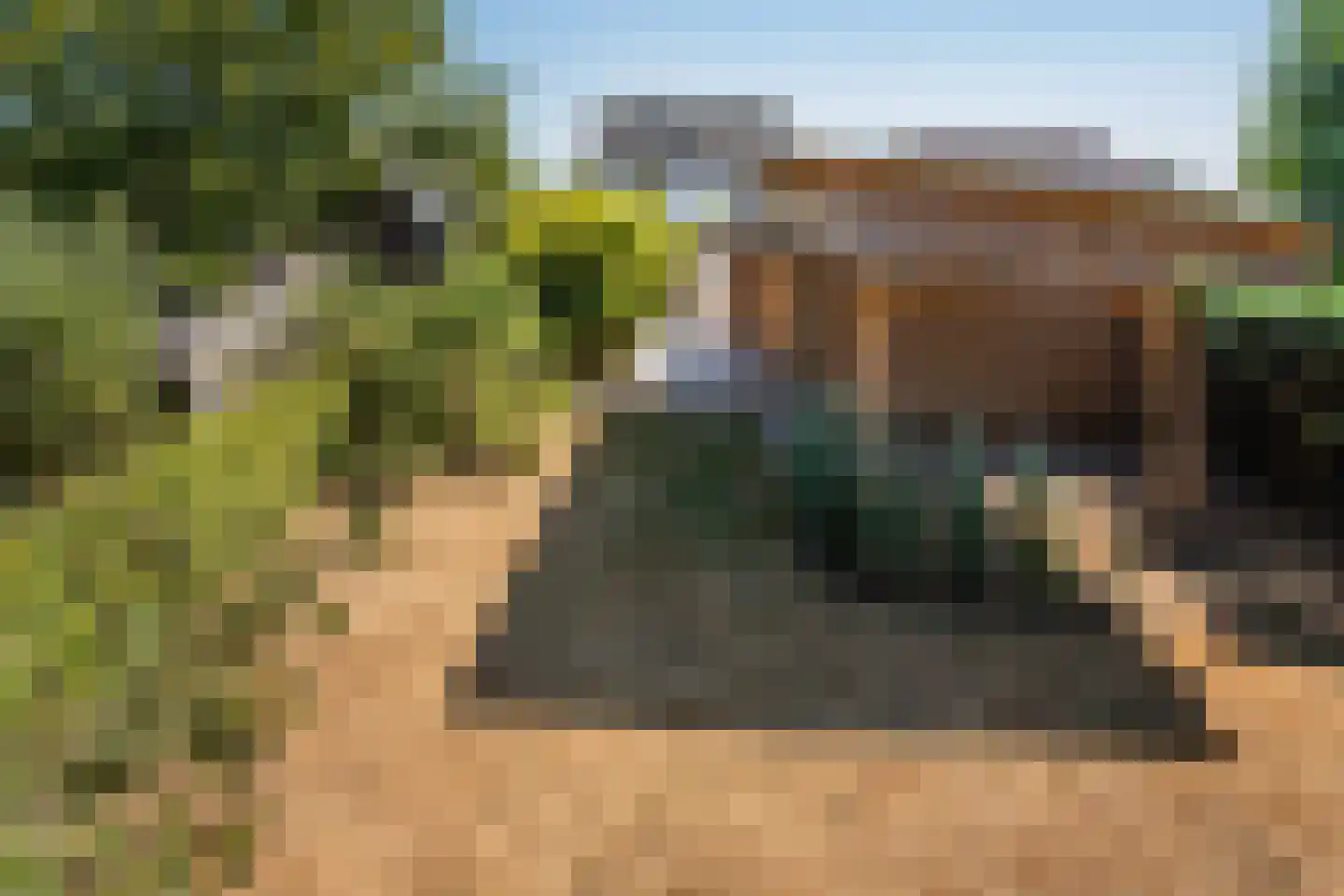 Schuttersweg 11 Gassel thumbnail 51