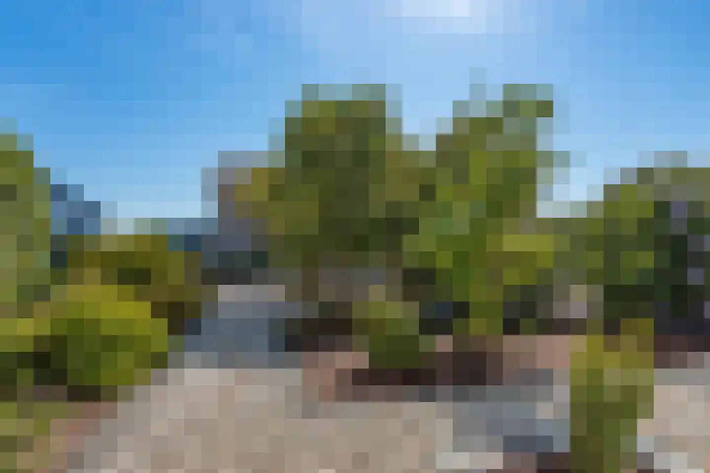 Schuttersweg 11 Gassel thumbnail 53