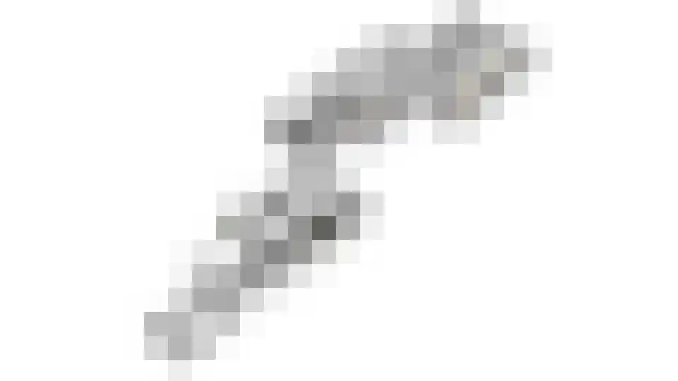 Schuttersweg 11 Gassel thumbnail 58