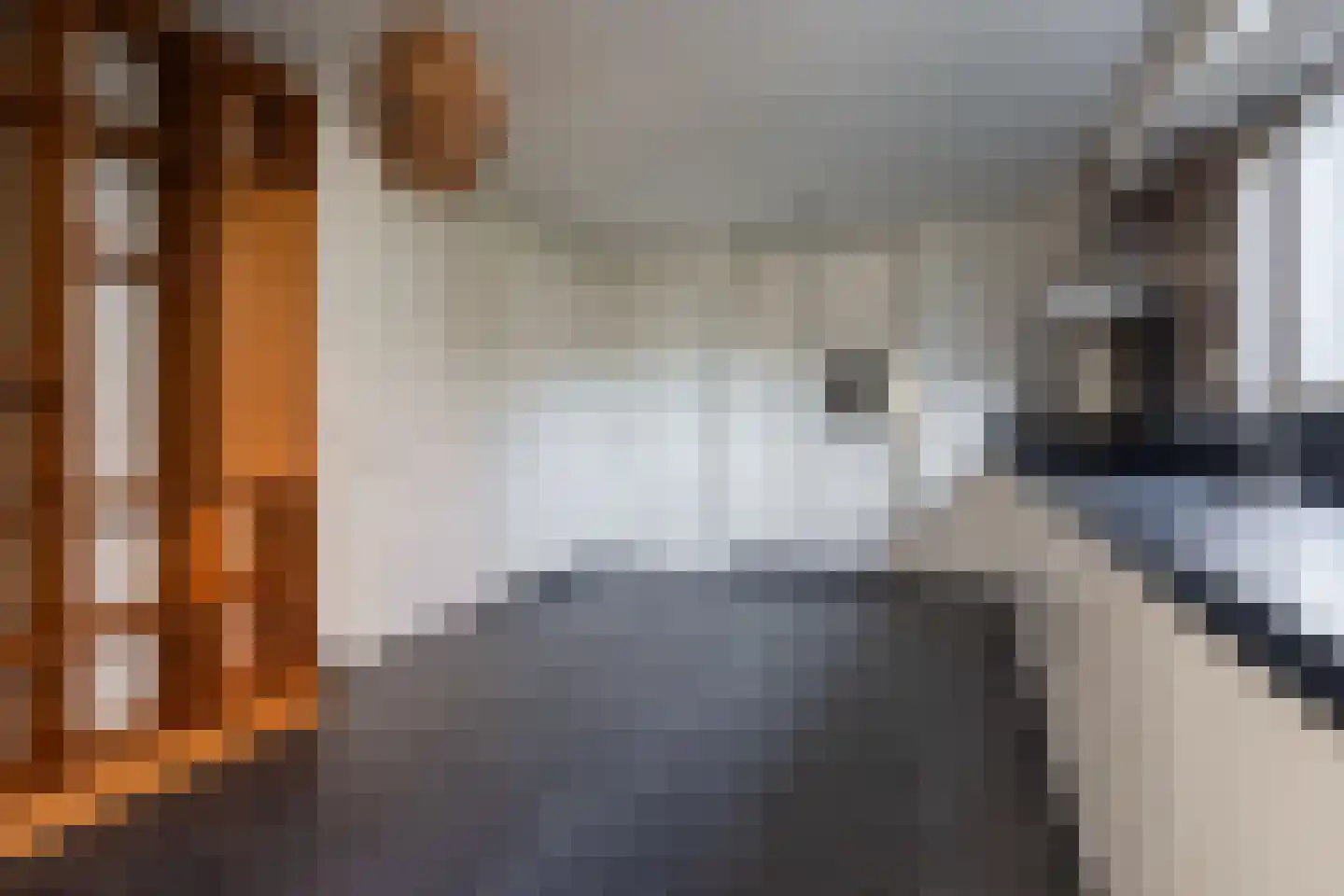Schuttersweg 11 Gassel thumbnail 9