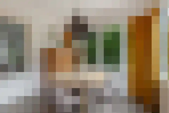 Schuttersweg 119 Apeldoorn thumbnail 15