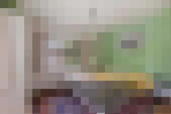 Schuttersweg 119 Apeldoorn thumbnail 22