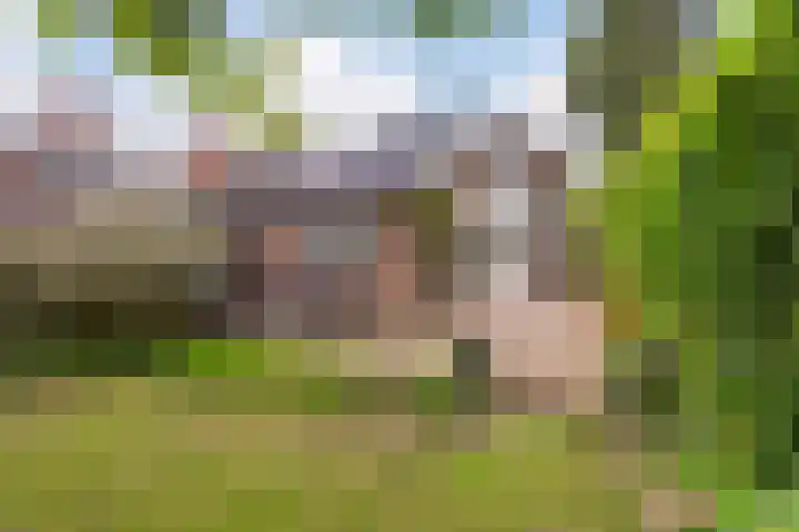 Schuttersweg 119 Apeldoorn thumbnail 37