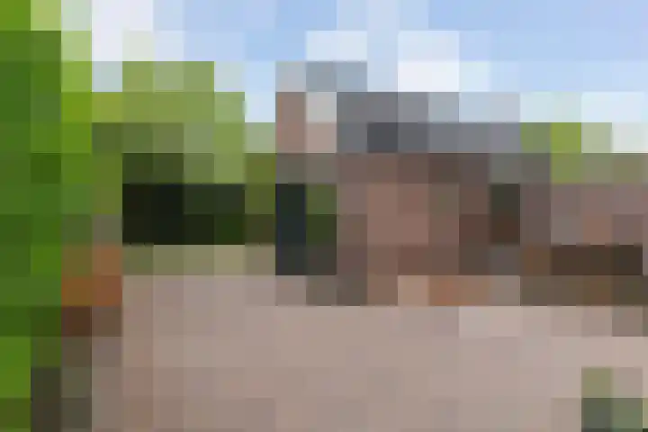 Schuttersweg 119 Apeldoorn thumbnail 39