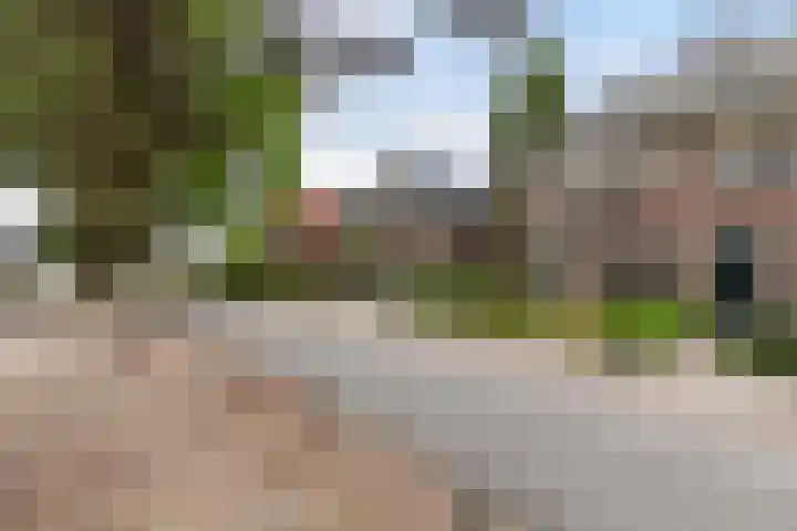 Schuttersweg 119 Apeldoorn thumbnail 47