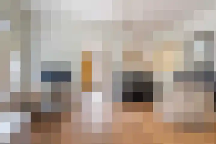 Schuttersweg 119 Apeldoorn thumbnail 8