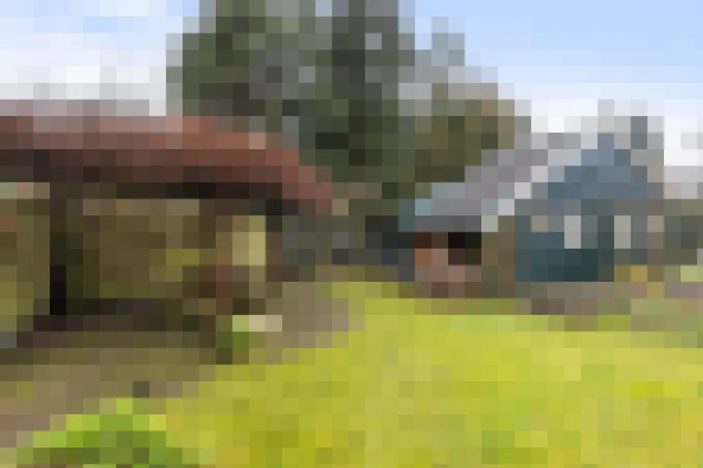 Schuttersweg 133 Apeldoorn thumbnail 21