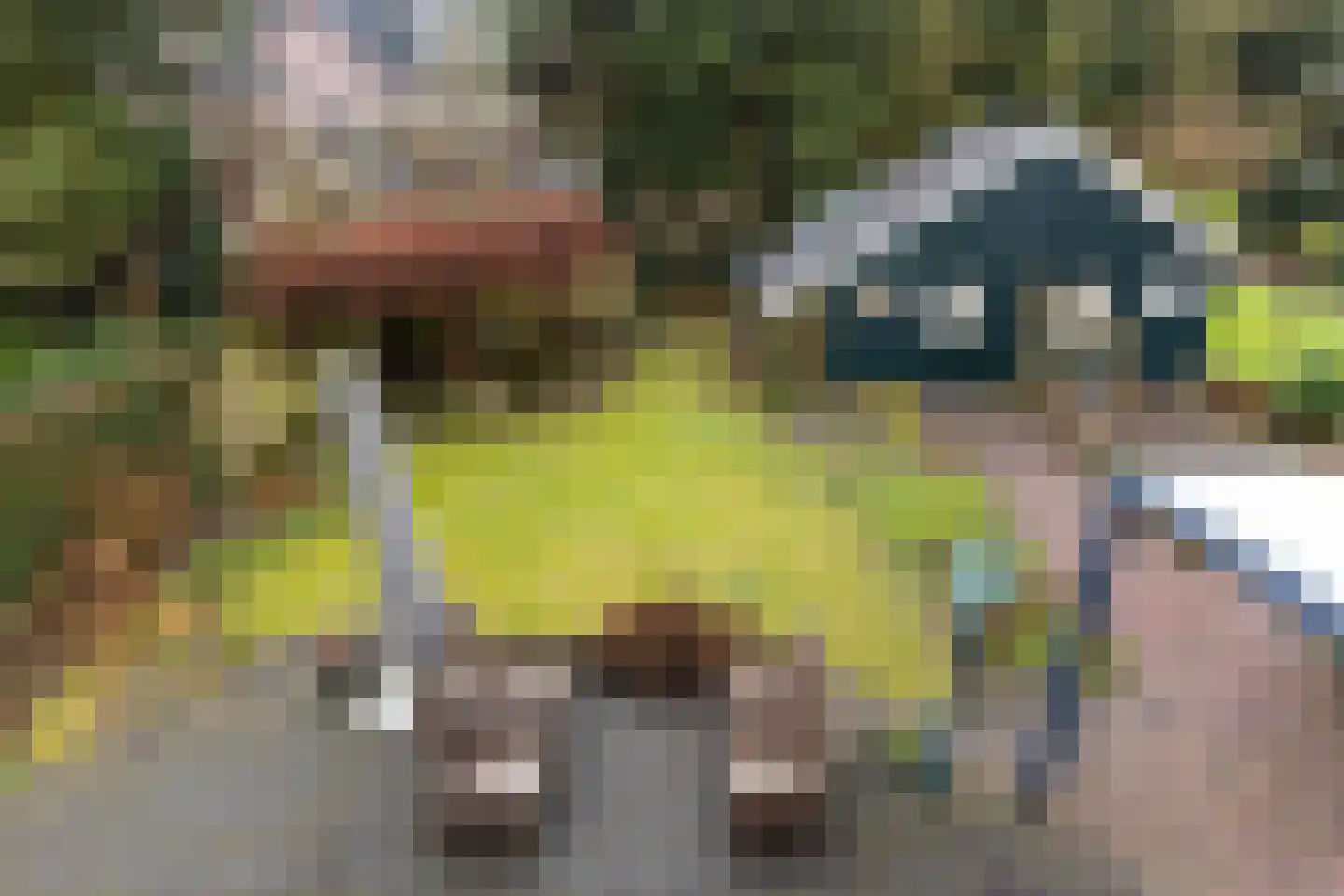 Schuttersweg 133 Apeldoorn thumbnail 28