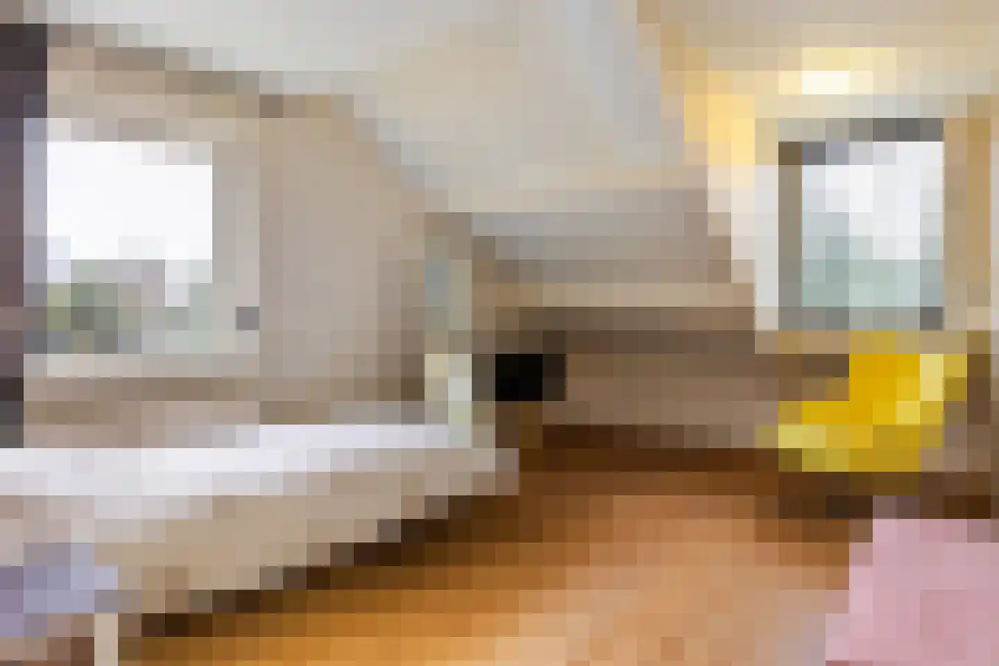 Schuttersweg 133 Apeldoorn thumbnail 37