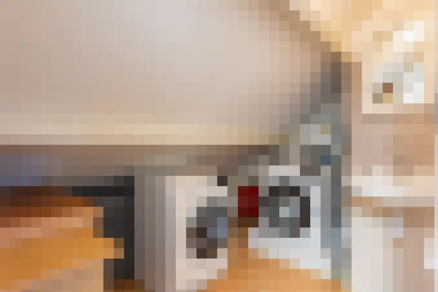 Schuttersweg 133 Apeldoorn thumbnail 39
