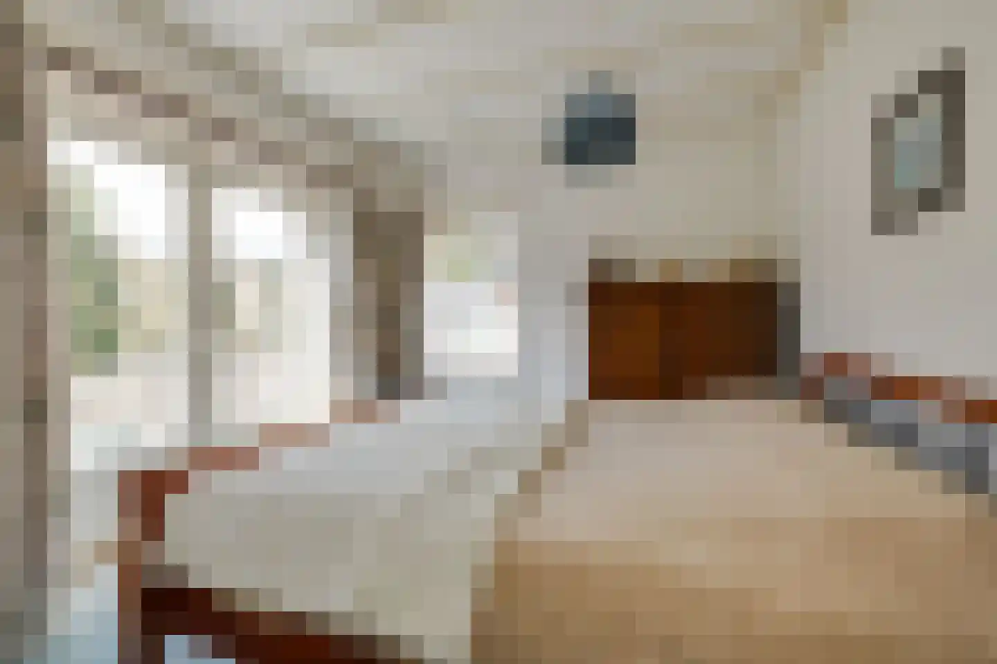 Schuttersweg 135 Apeldoorn thumbnail 18