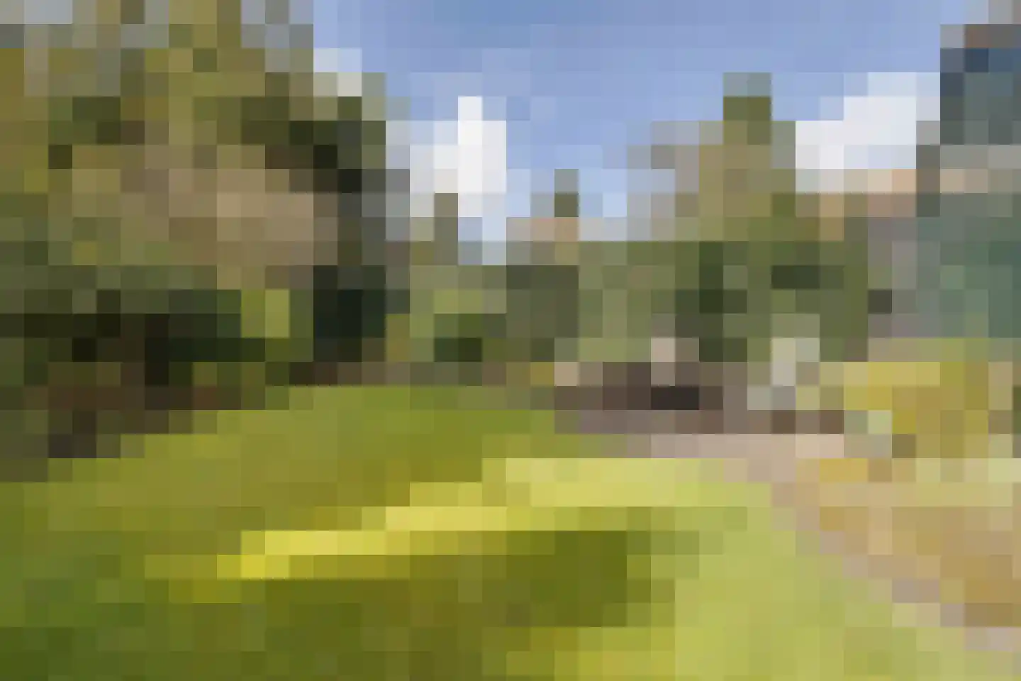 Schuttersweg 135 Apeldoorn thumbnail 35