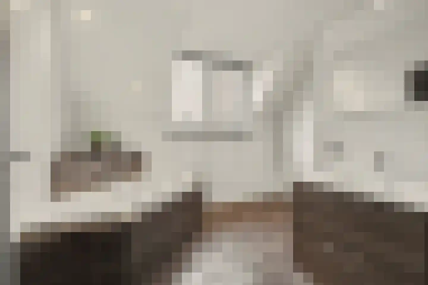 Schuttersweg 16 Netersel thumbnail 41