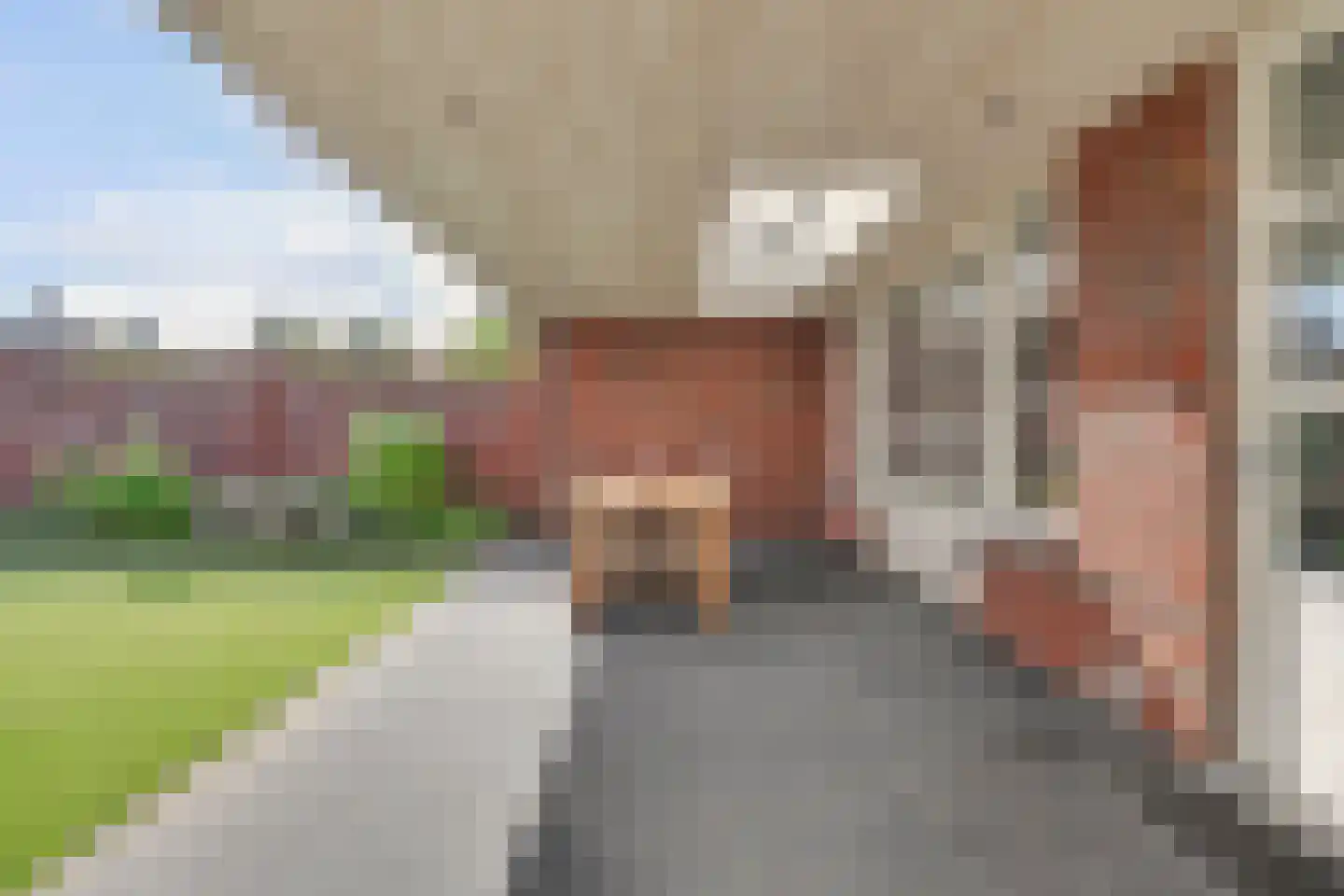 Schuttersweg 16 Netersel thumbnail 54