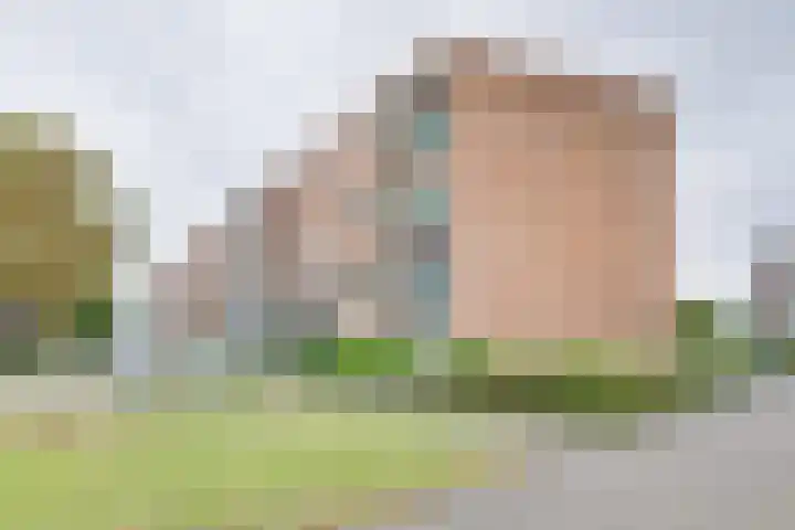 Schuttersweg 17 Apeldoorn thumbnail 23