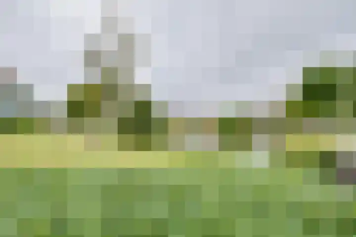 Schuttersweg 17 Apeldoorn thumbnail 25