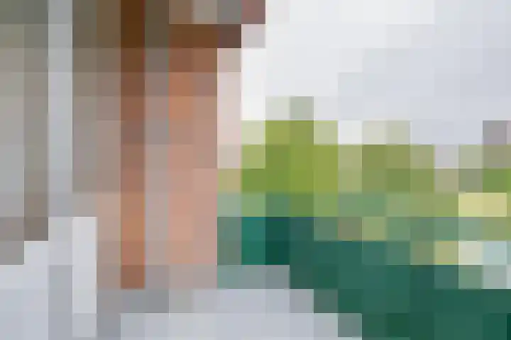 Schuttersweg 17 Apeldoorn thumbnail 9