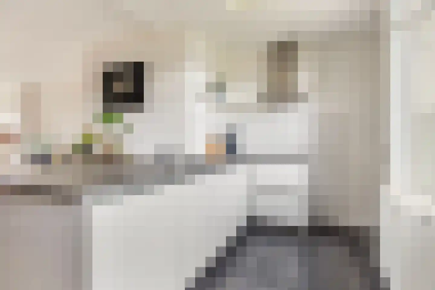 Schuttersweg 21 Apeldoorn thumbnail 11