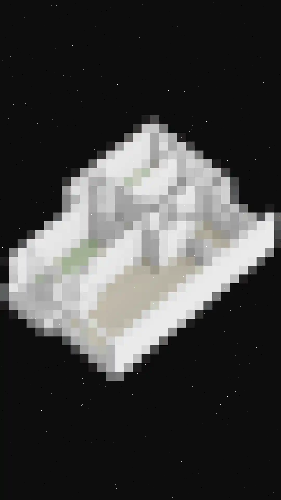 Schuttersweg 25 Apeldoorn thumbnail 37