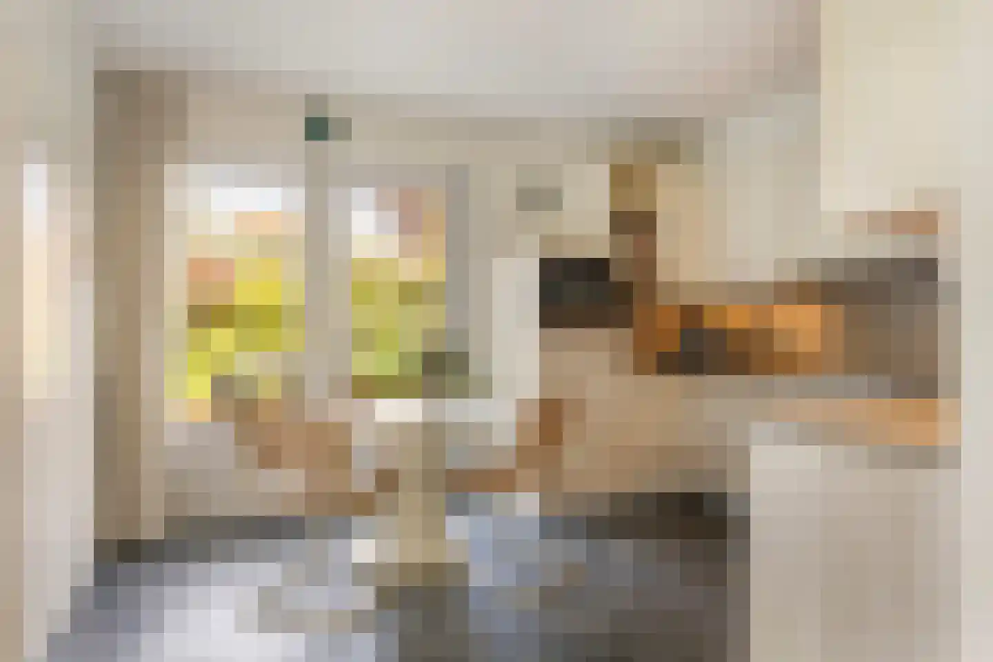 Schuttersweg 38 Apeldoorn thumbnail 16