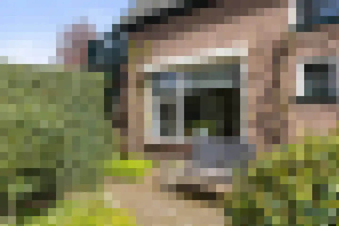 Schuttersweg 38 Apeldoorn thumbnail 20