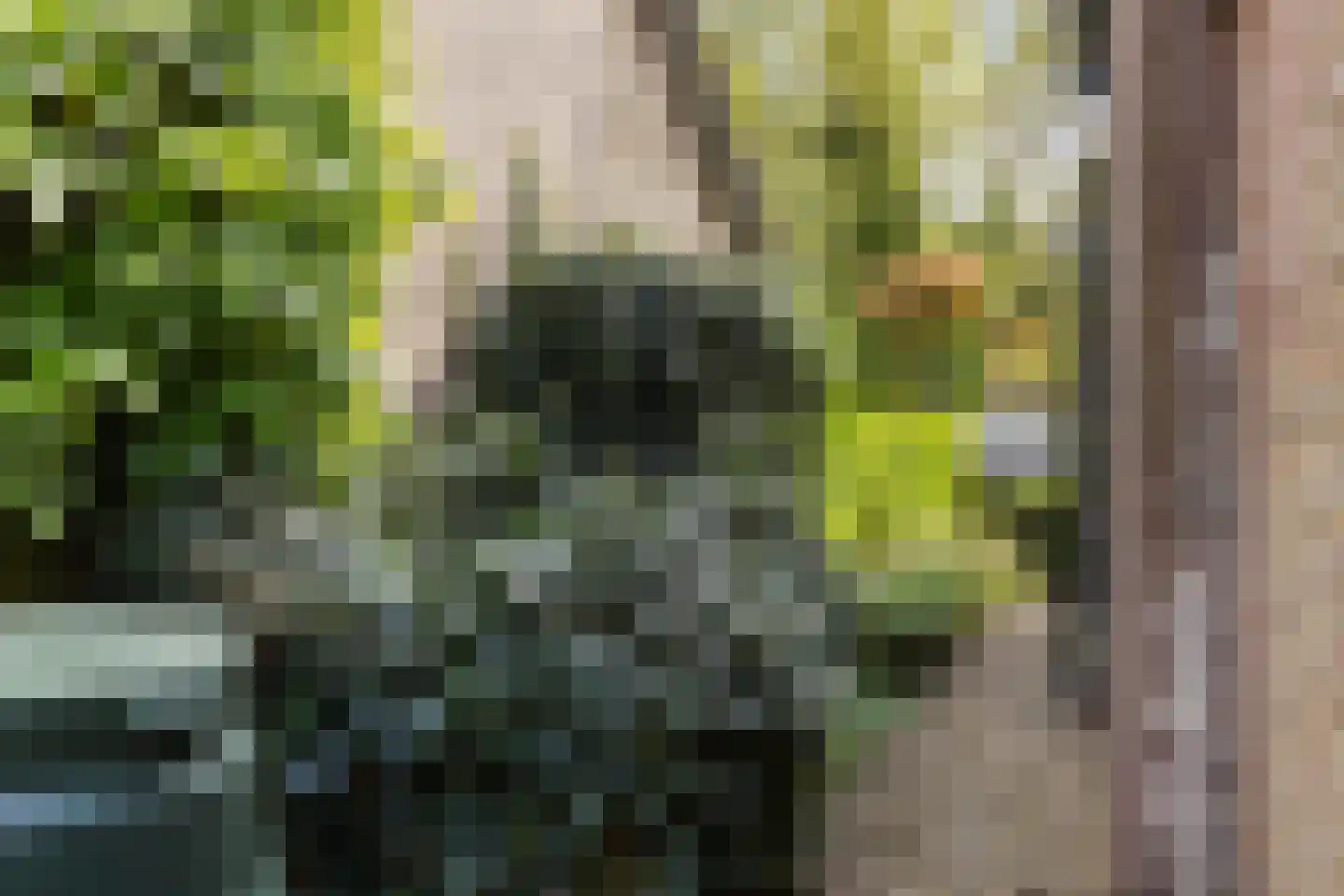 Schuttersweg 38 Apeldoorn thumbnail 22