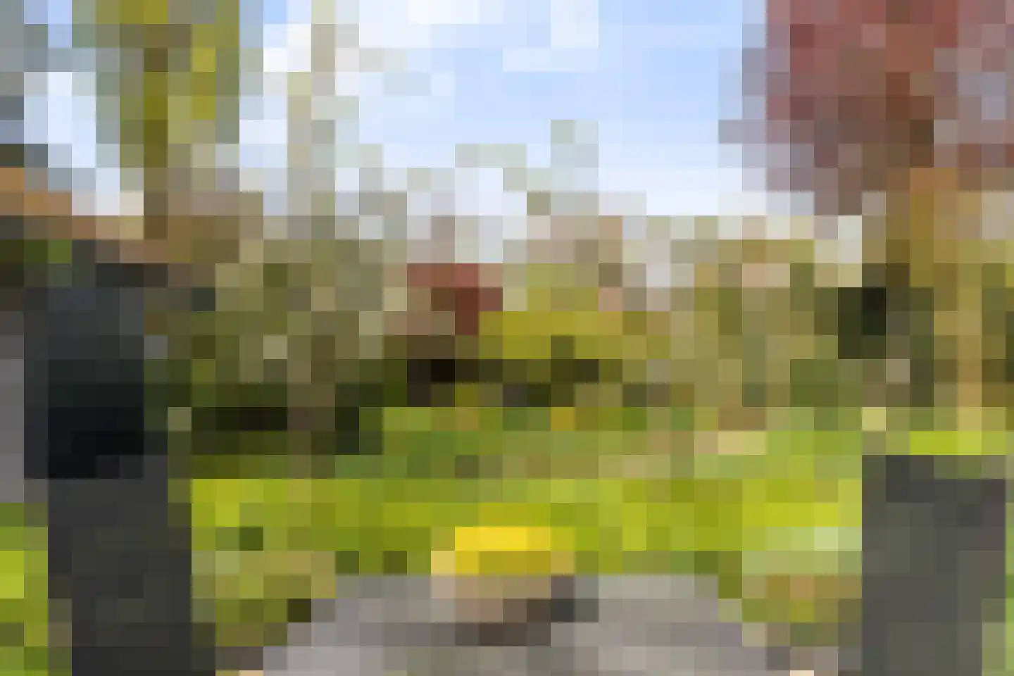 Schuttersweg 38 Apeldoorn thumbnail 24