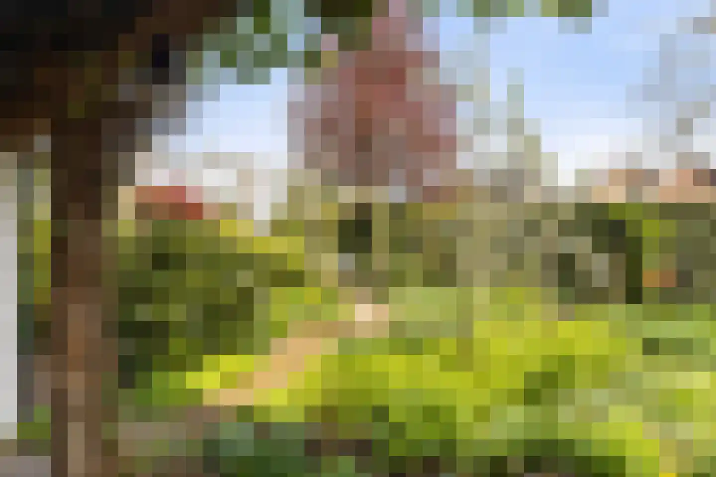 Schuttersweg 38 Apeldoorn thumbnail 25