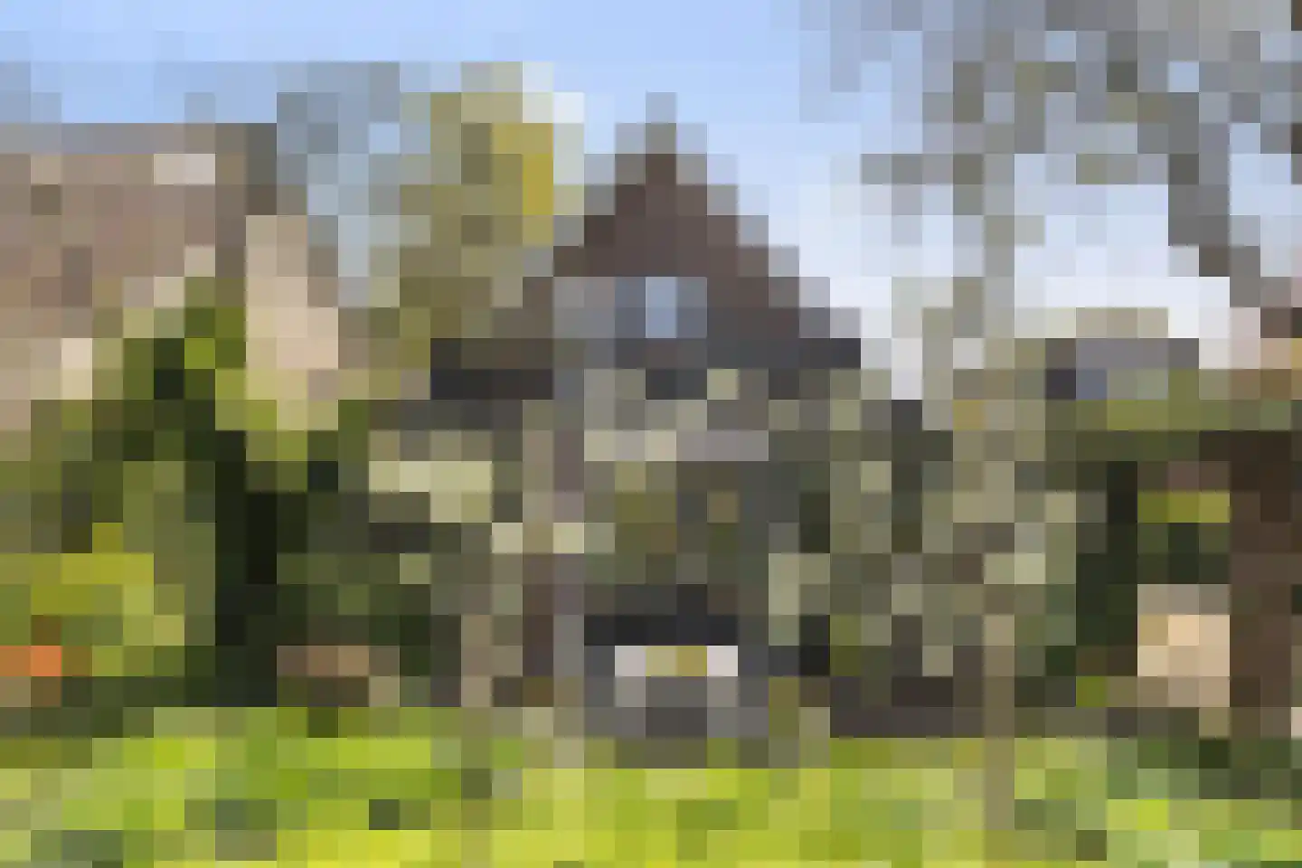 Schuttersweg 38 Apeldoorn thumbnail 27