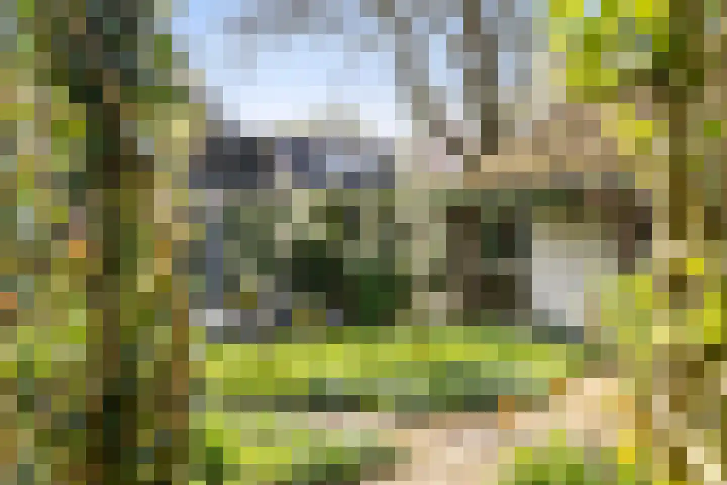 Schuttersweg 38 Apeldoorn thumbnail 29
