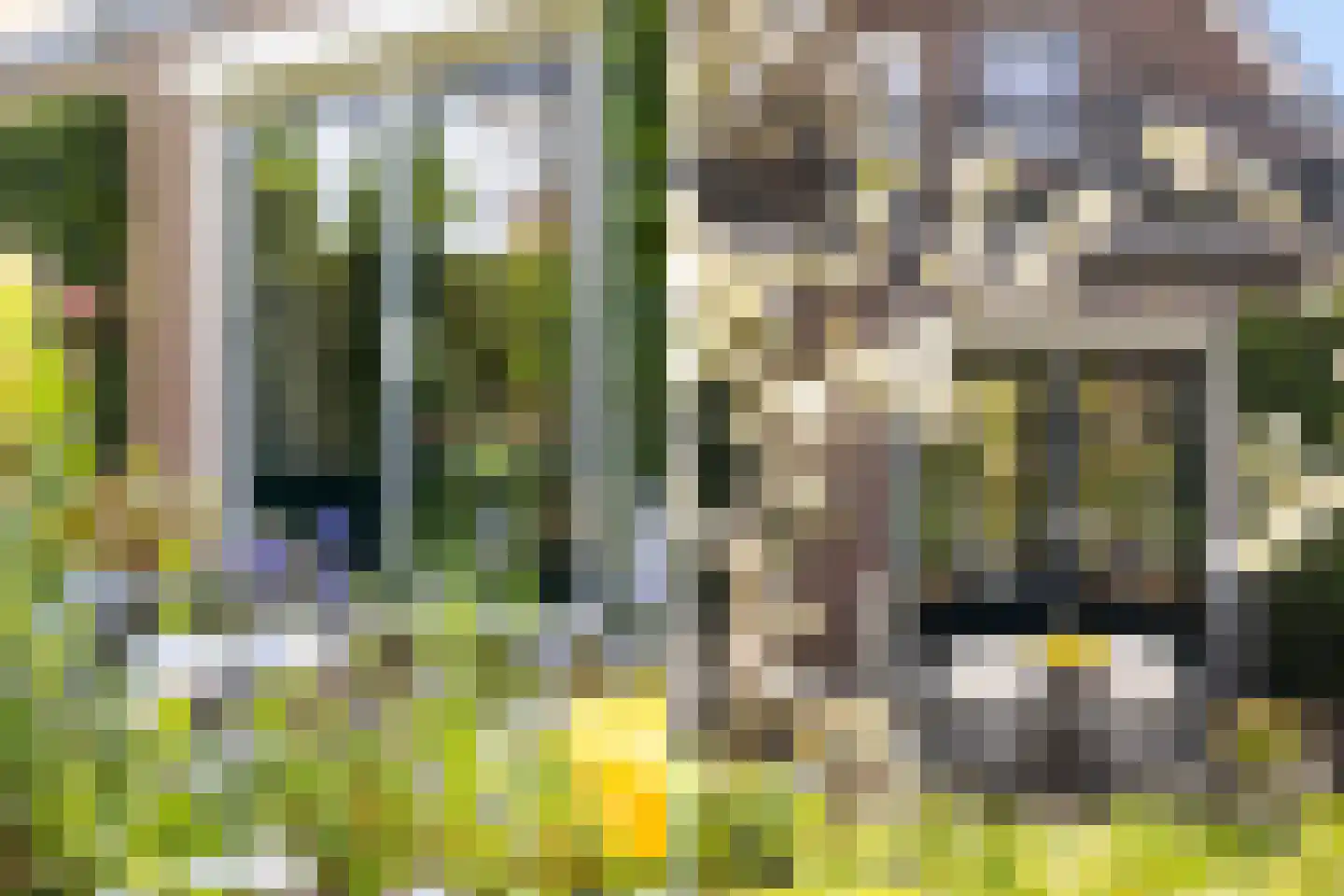 Schuttersweg 38 Apeldoorn thumbnail 32