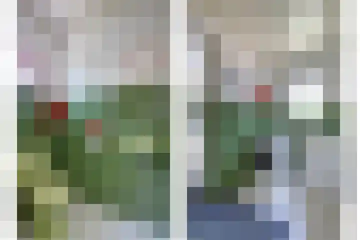 Schuttersweg 44 Hilvarenbeek thumbnail 13
