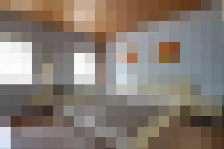 Schuttersweg 44 Hilvarenbeek thumbnail 15