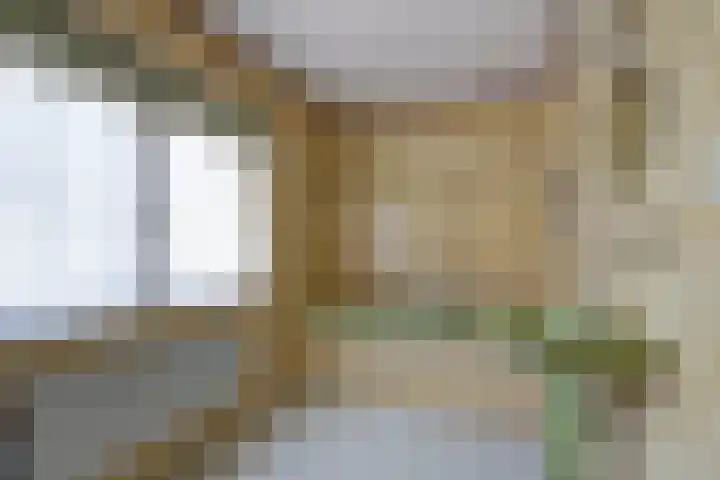 Schuttersweg 44 Hilvarenbeek thumbnail 21