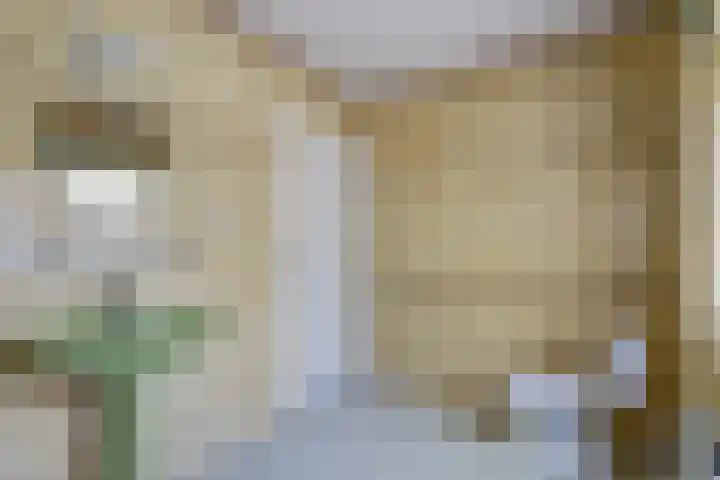 Schuttersweg 44 Hilvarenbeek thumbnail 22