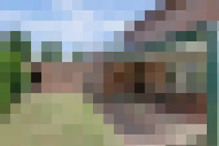 Schuttersweg 44 Hilvarenbeek thumbnail 27