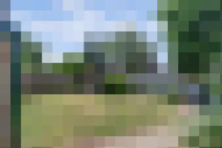 Schuttersweg 44 Hilvarenbeek thumbnail 31