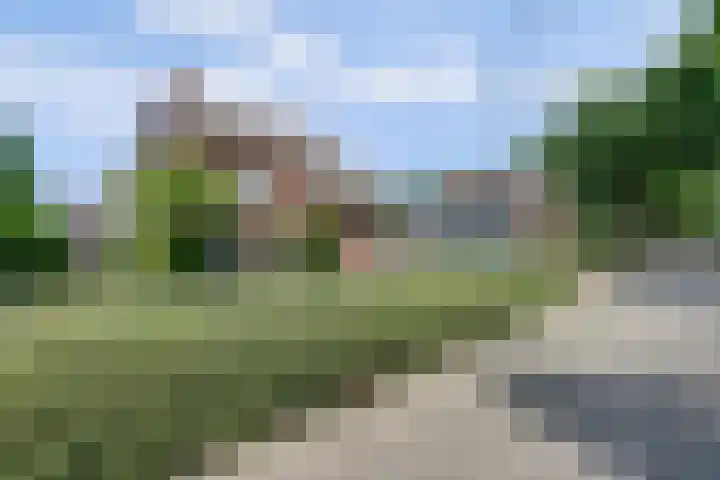 Schuttersweg 44 Hilvarenbeek thumbnail 32