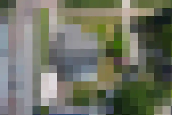 Schuttersweg 44 Hilvarenbeek thumbnail 35