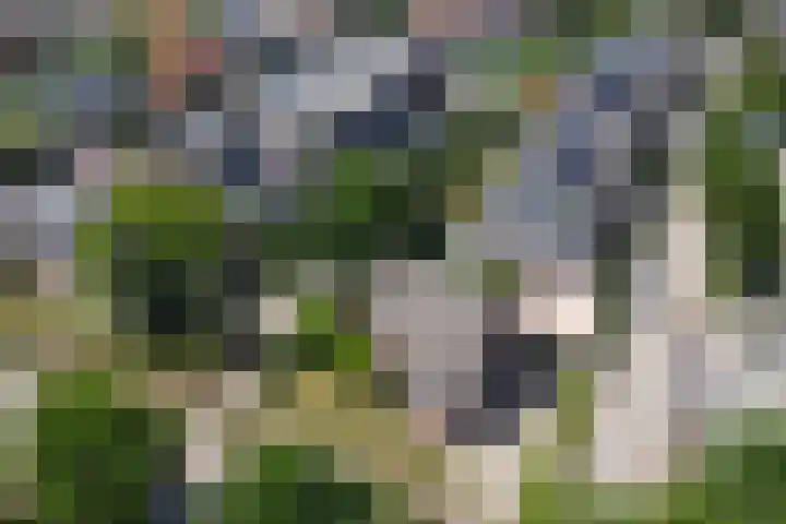 Schuttersweg 44 Hilvarenbeek thumbnail 36