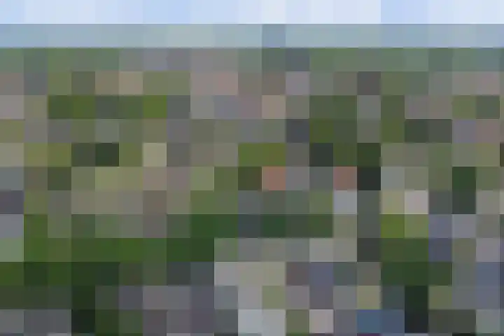 Schuttersweg 44 Hilvarenbeek thumbnail 37